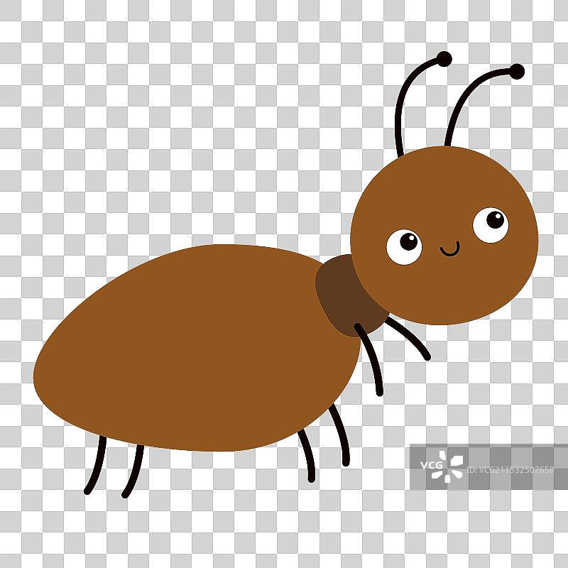可爱的蚂蚁图标，昆虫，动物，卡通，萌趣，搞笑图片素材
