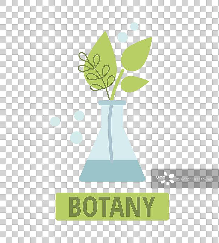 白色背景上的实验室玻璃器皿与嫩芽图片素材