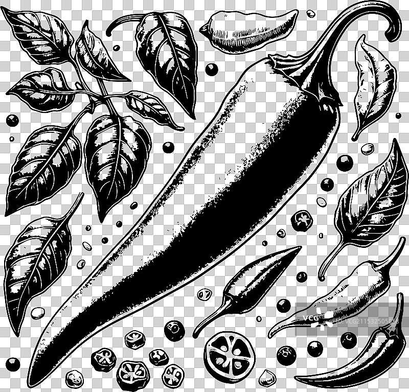 手绘的辣椒与叶子，黑色和图片素材