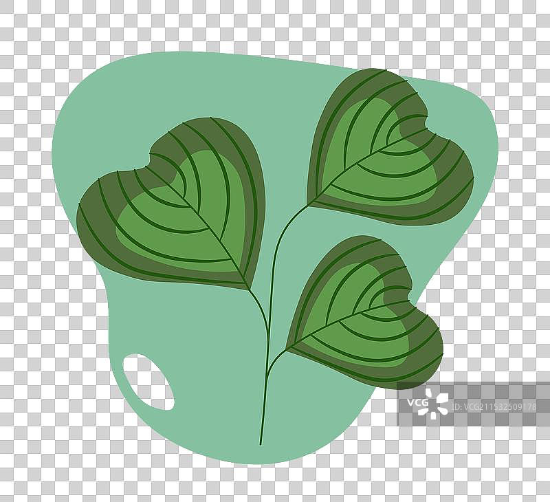 极简主义的热带叶子绽放与开花图片素材