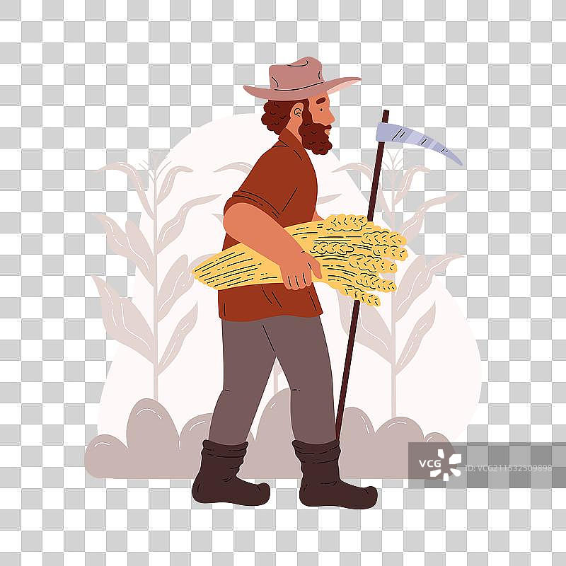 一位农民正走着，手里拿着一捆小麦。图片素材