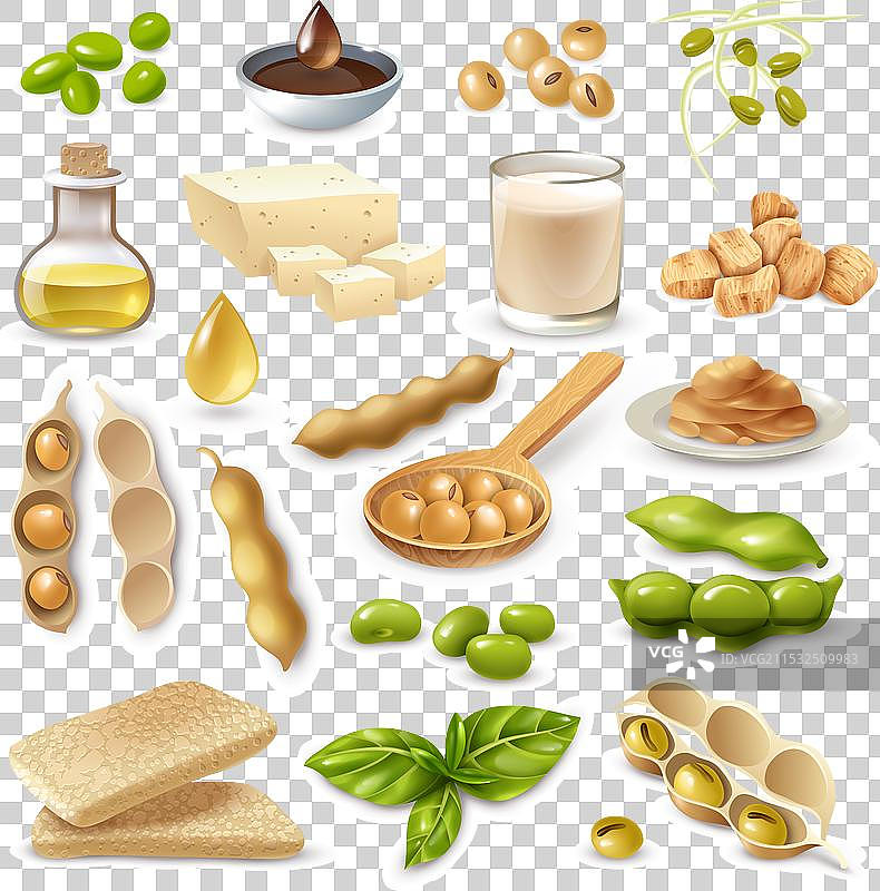 一组大豆食品产品，配有成熟的豆子和图片素材