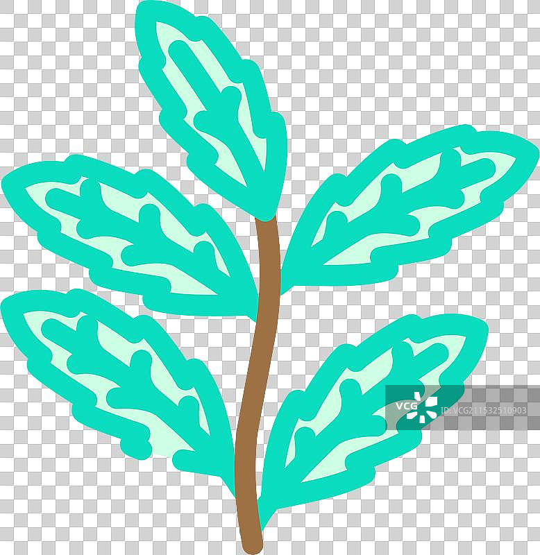 印度楝叶的阿育吠陀草药彩色图标图片素材