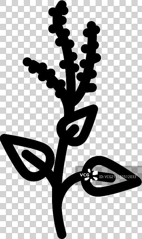 神圣罗勒阿育吠陀草药线条图标图片素材