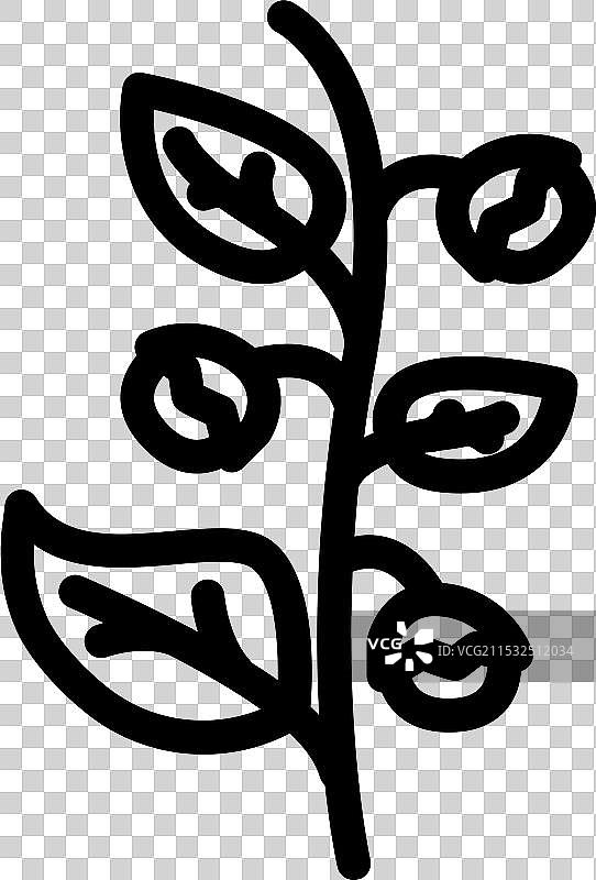 阿育吠陀草药阿什瓦甘达线条图标图片素材