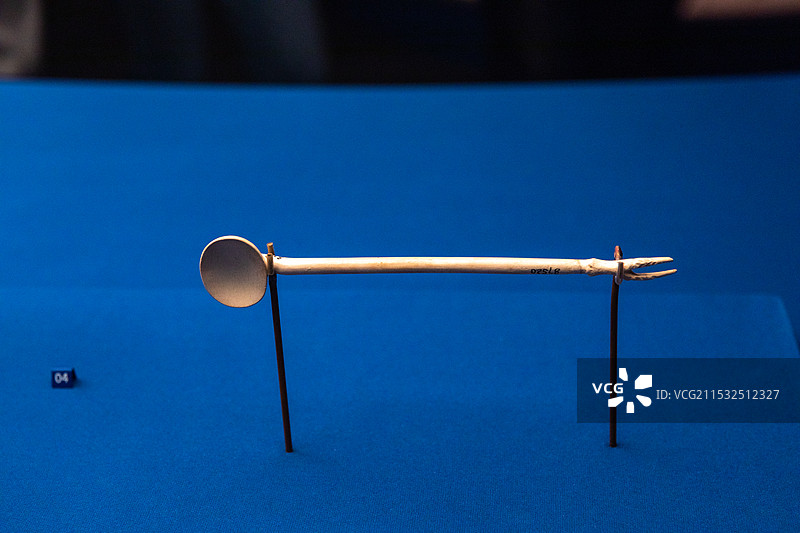 上海博物馆埃及文物展化妆勺 象牙早王朝时期(约公元前3000-前2686年) 埃及国家博物馆图片素材