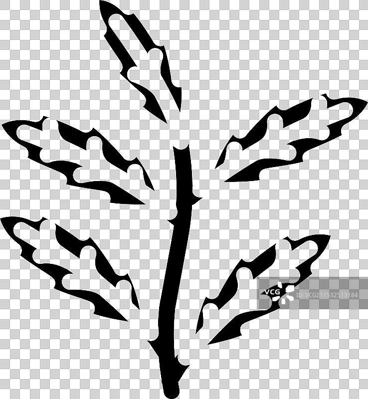 印度楝叶的阿育吠陀草药图标图片素材