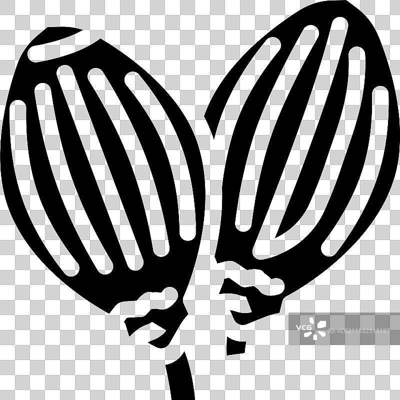 香菜种子阿育吠陀草药图标图片素材