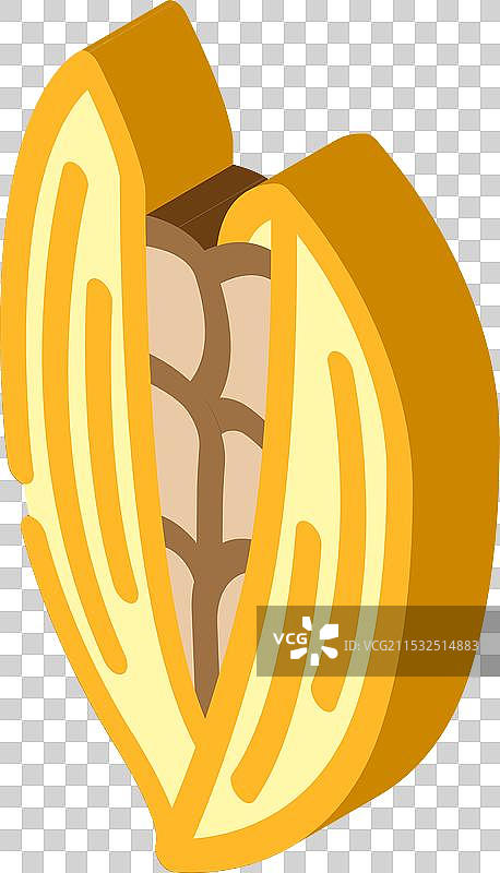 小豆蔻荚，阿育吠陀草药，等距图标图片素材