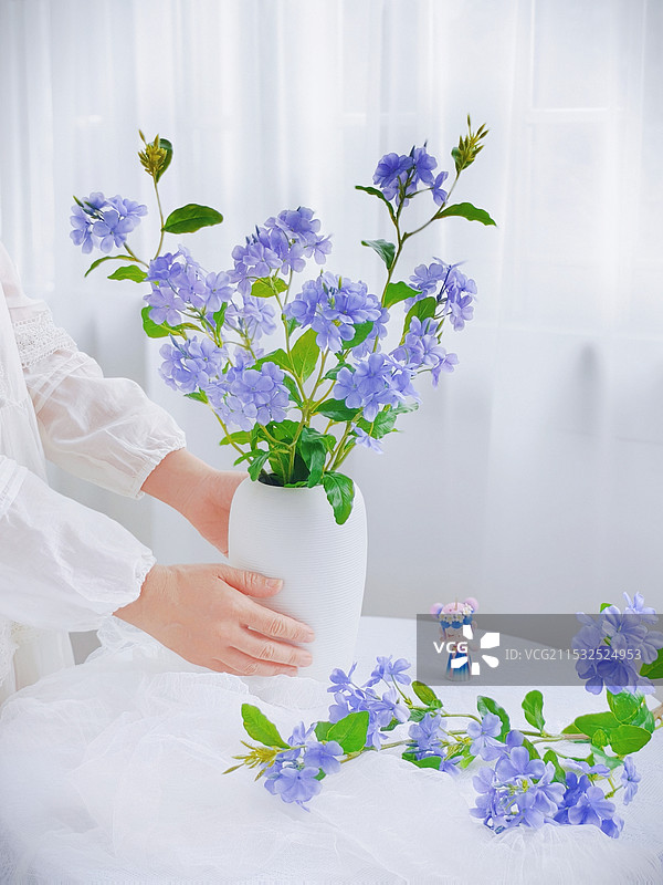 蓝雪花图片素材