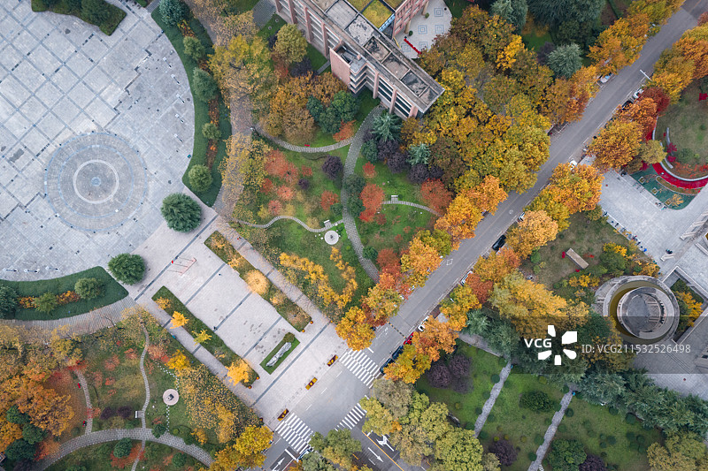 秋天的西北大学北广场图片素材