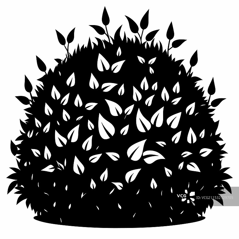 白色背景上的刺猬图片素材