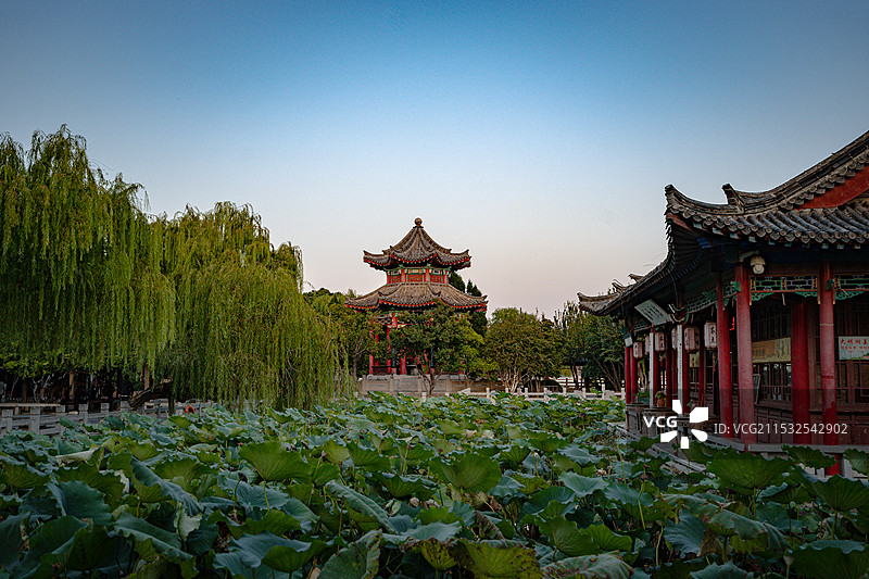 济南大明湖景区内中式建筑与杨柳树荷塘图片素材