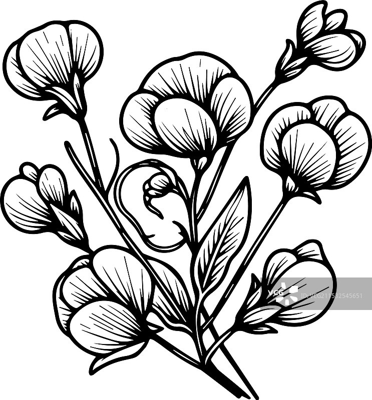 四月出生花朵SVG出生月份花朵图片素材