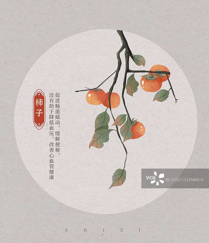 柿子水彩插画图片素材