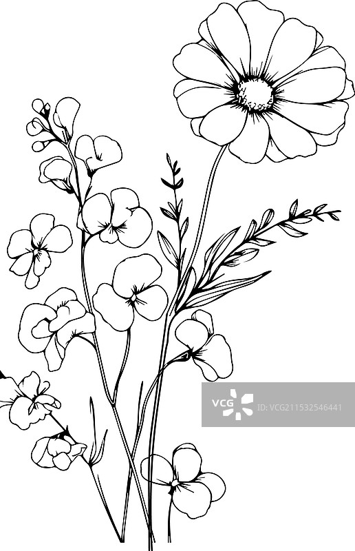 甜豌豆线条艺术 新鲜甜豌豆家居墙面装饰图片素材