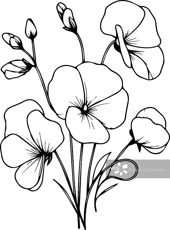 一组装饰性风格的甜豌豆花图片素材