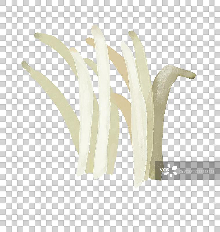 脆珊瑚菌图片素材