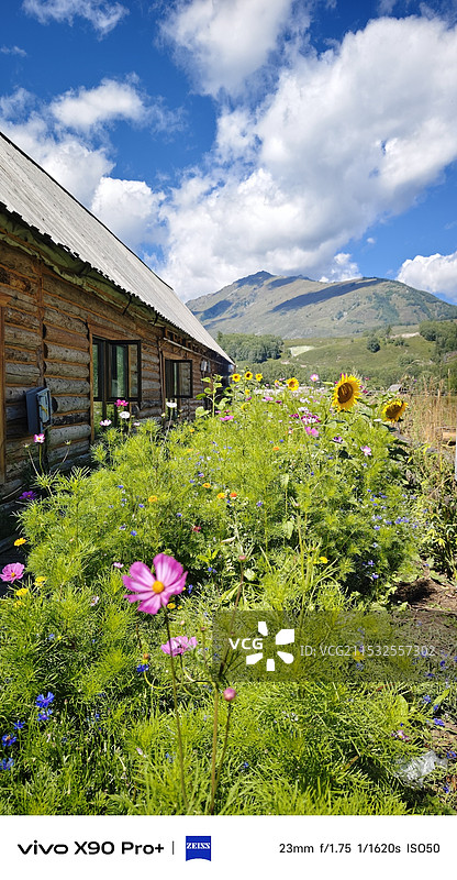 禾木村图片素材