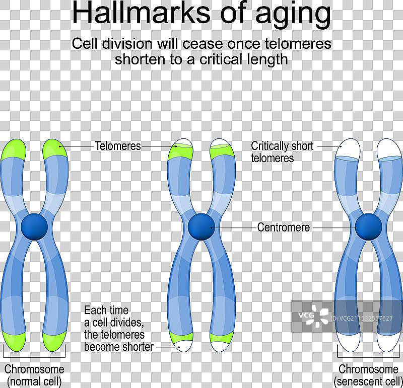 衰老的标志图片素材