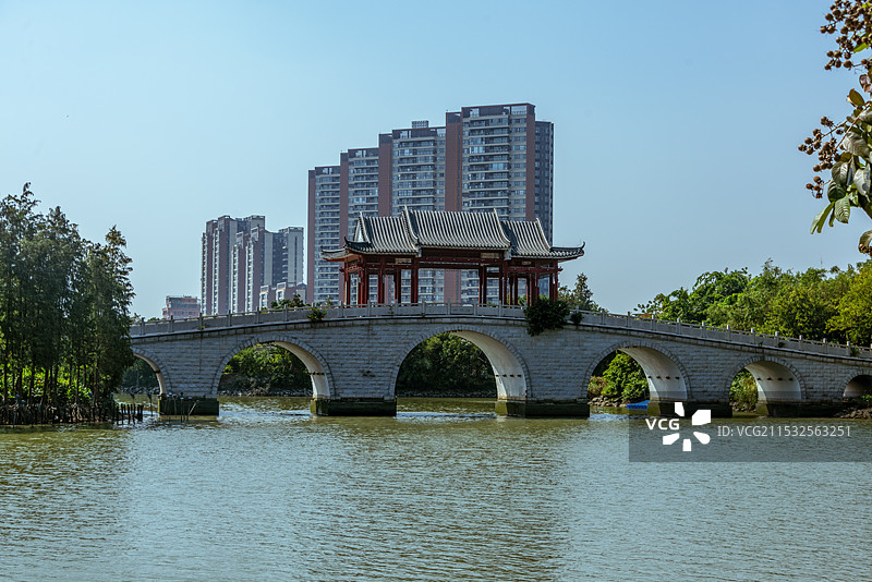 广东东莞麻涌华阳湖国家湿地公园图片素材