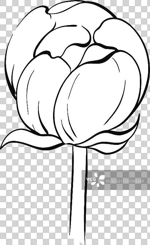 复古风格的美丽玫瑰纽扣图片素材