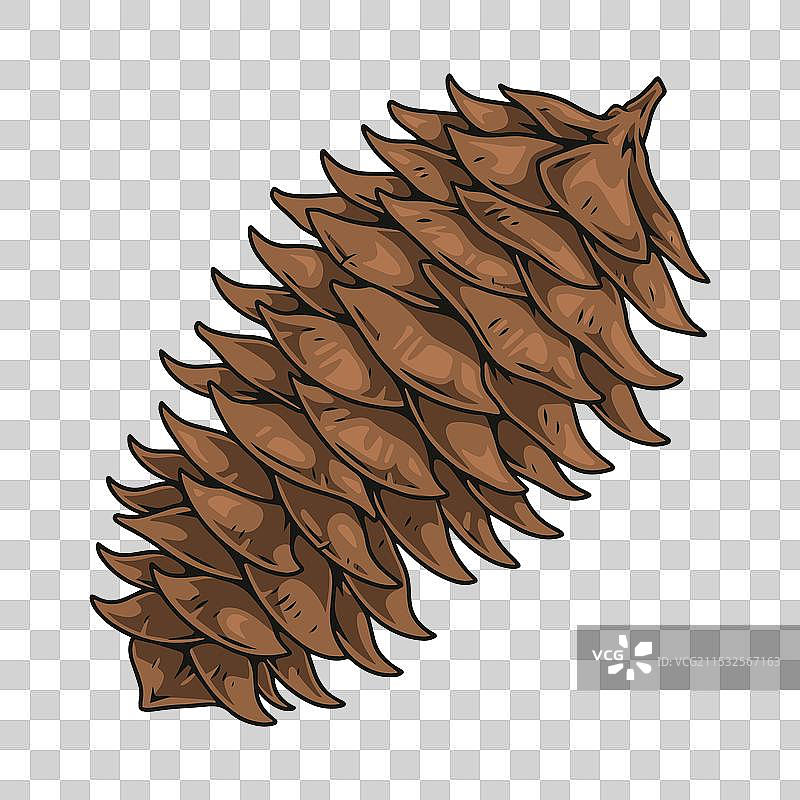 彩色复古松果贴纸图片素材