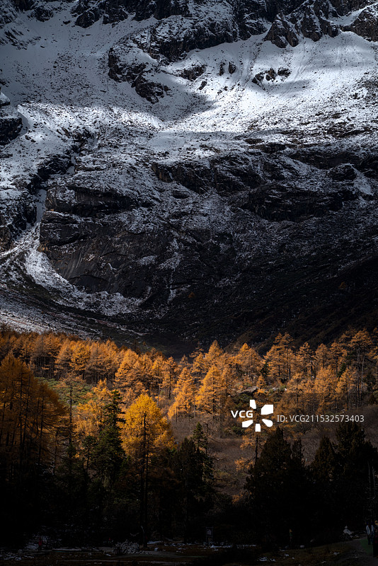 川西毕棚沟燕子岩秋天彩林图片素材