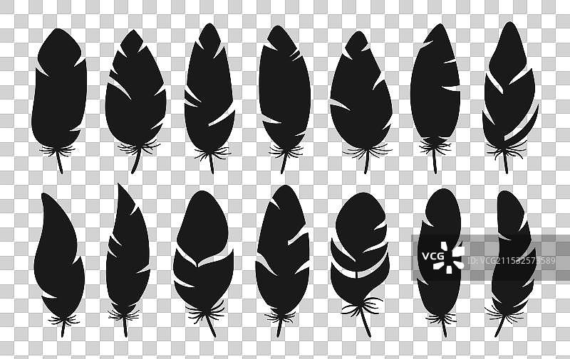 鸟羽毛剪影套装 风格化的鸟羽毛图片素材