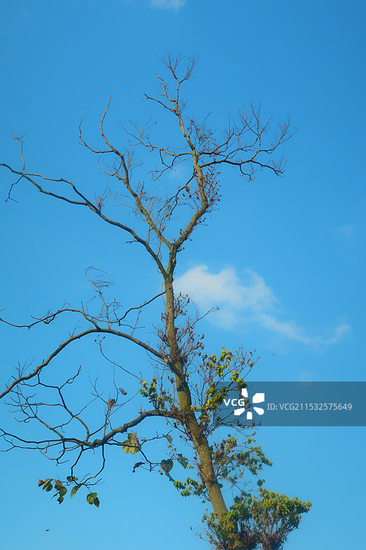 秋天的色彩图片素材