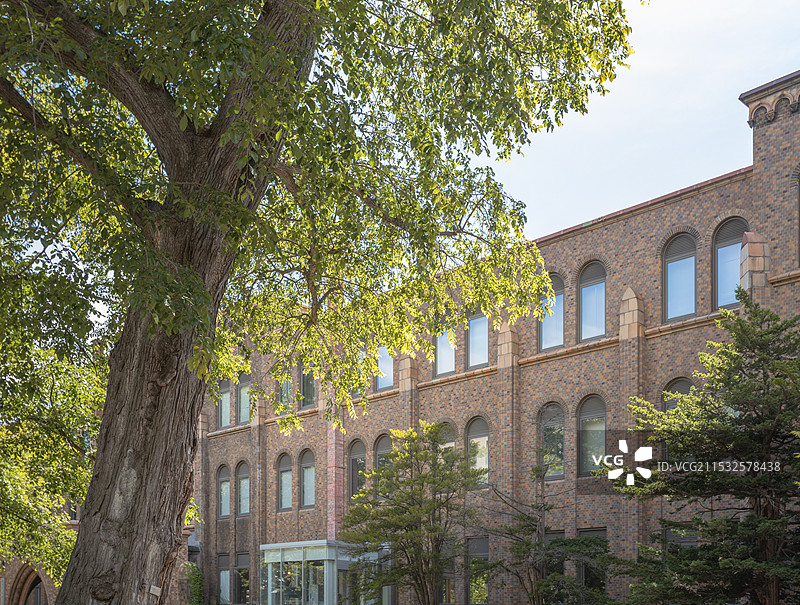 北海道大学综合博物馆日景图片素材