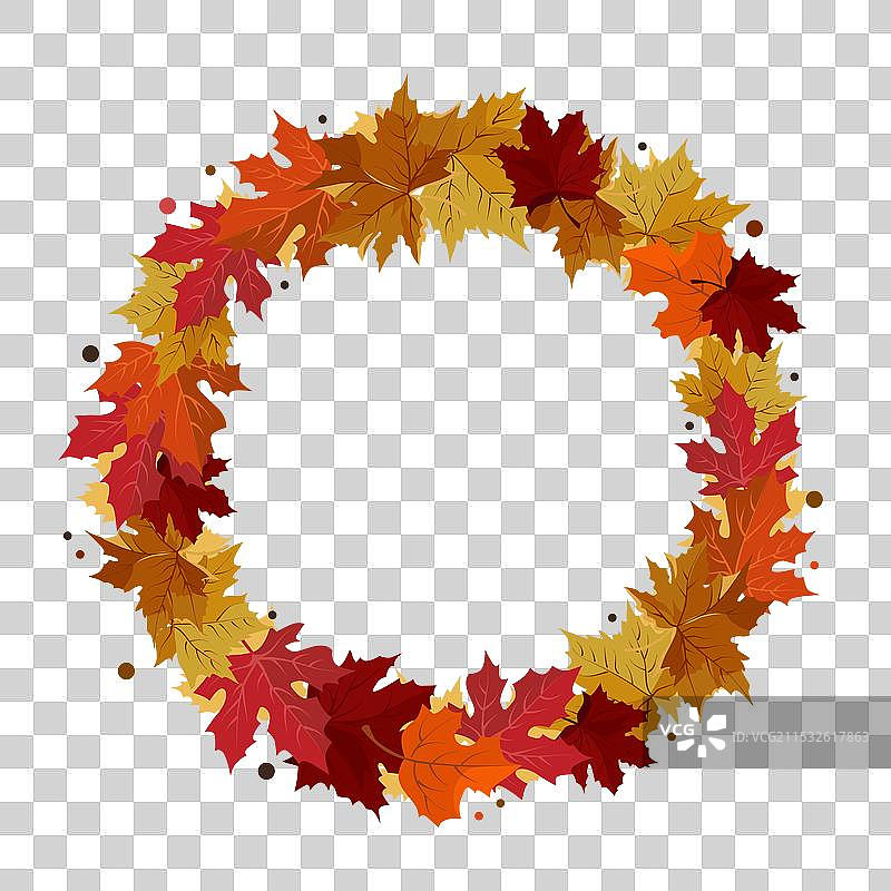 孤立的黄色干枫树秋季圆形框架图片素材