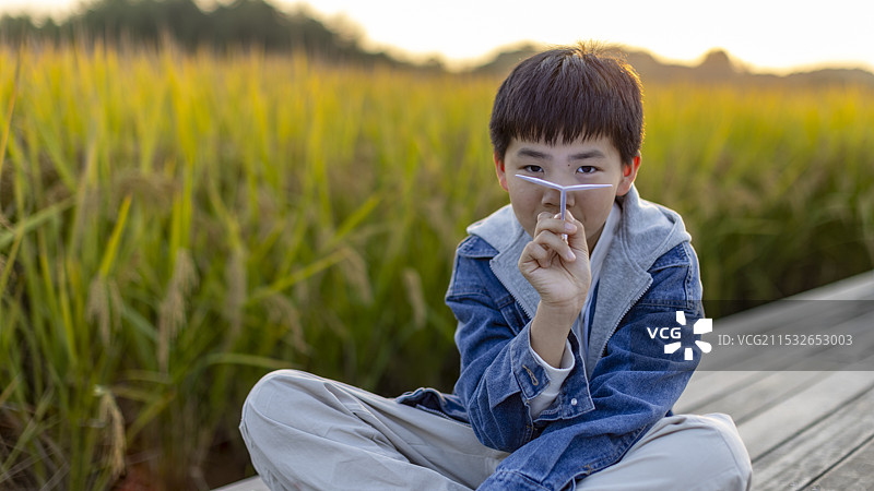 男孩在杭州良渚遗址公园稻田里玩纸飞机图片素材