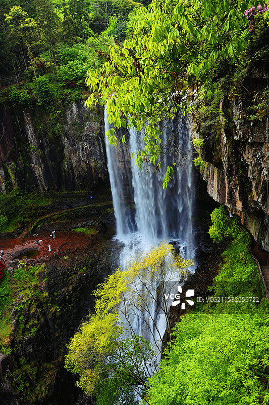 百丈漈·飞瀑掩映绿树中图片素材