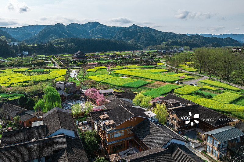 贵州铜仁市寨沙侗寨村庄油菜花海田园风光图片素材