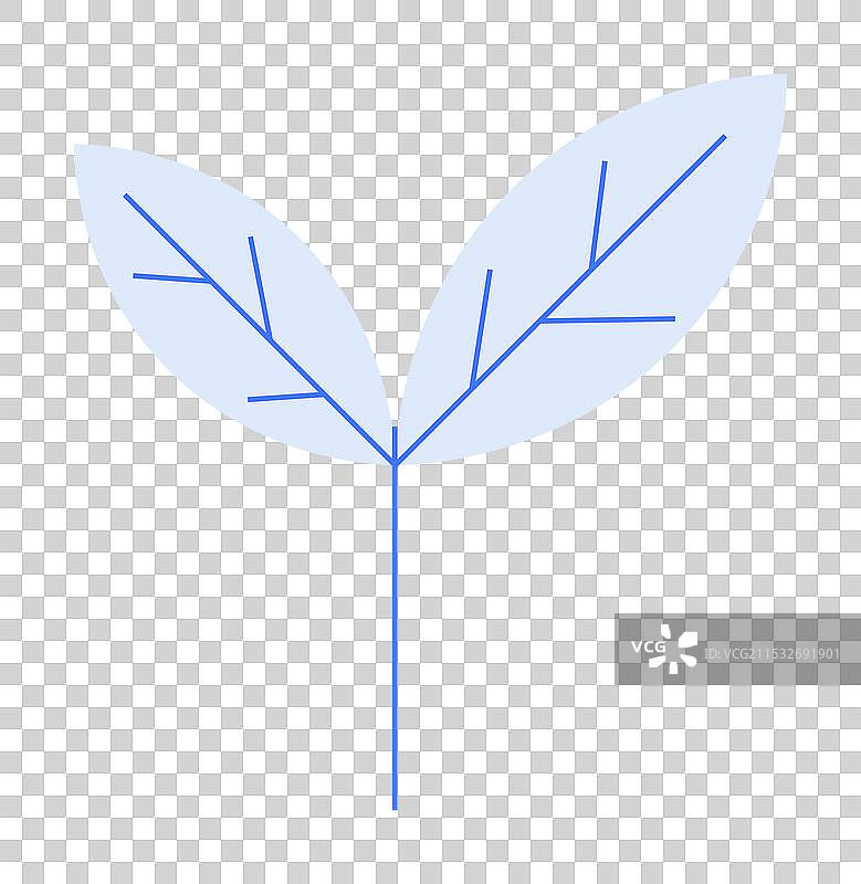 极简主义的蓝白色叶茎与图片素材