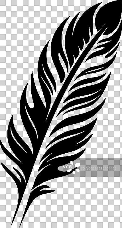 黑白羽毛孤立图标图片素材