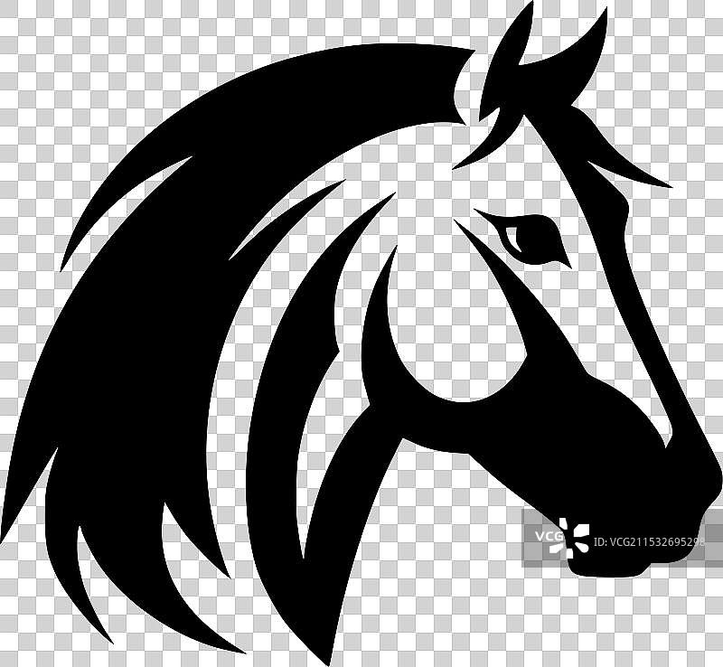 黑白马图片素材