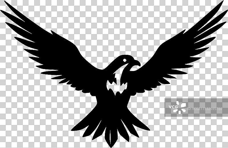 黑白孤立的海燕图标图片素材