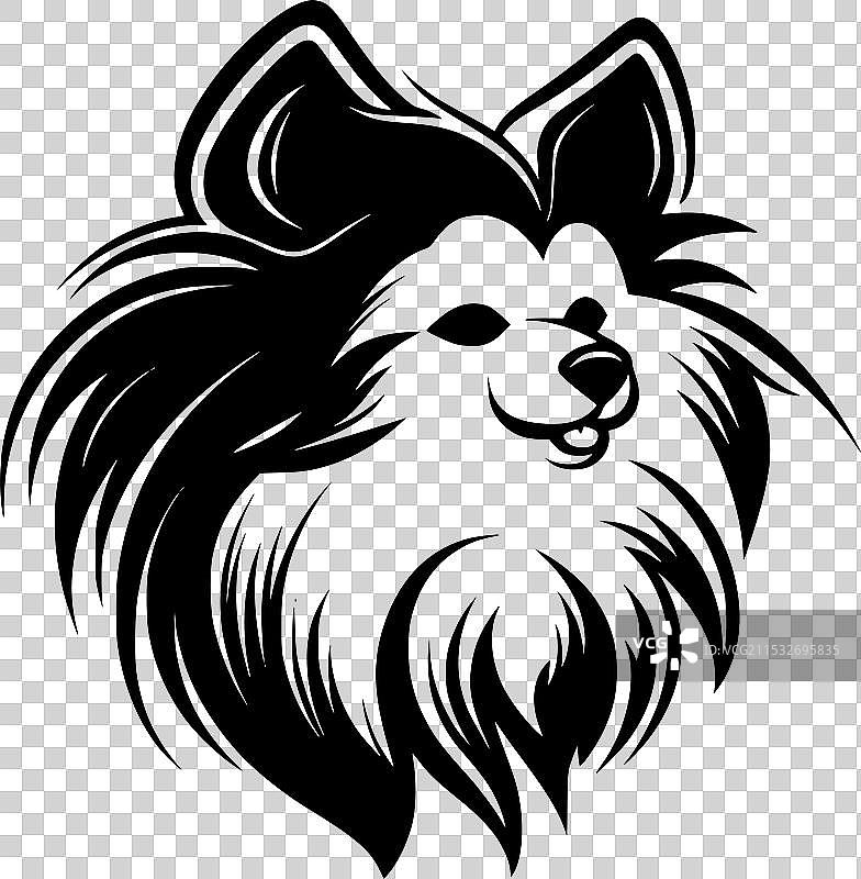 黑白博美犬图片素材