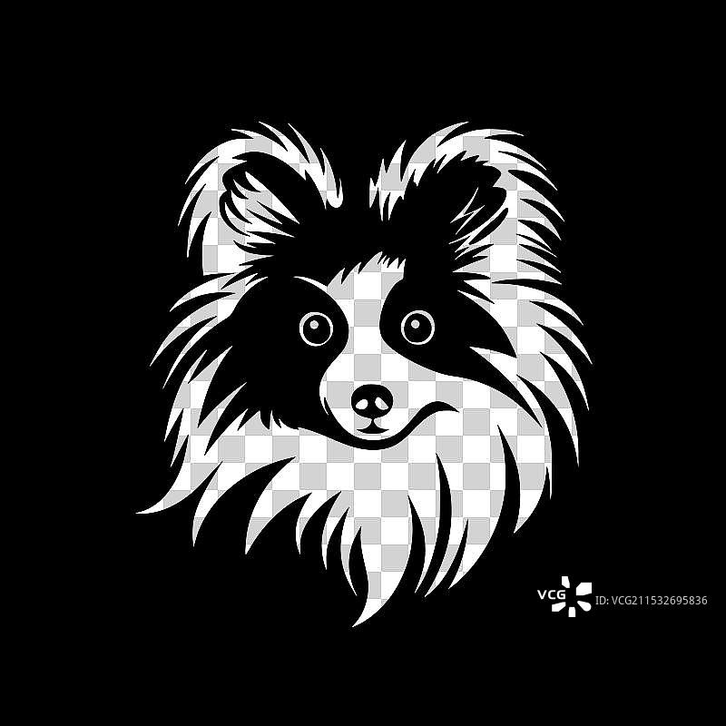 黑白博美犬图片素材