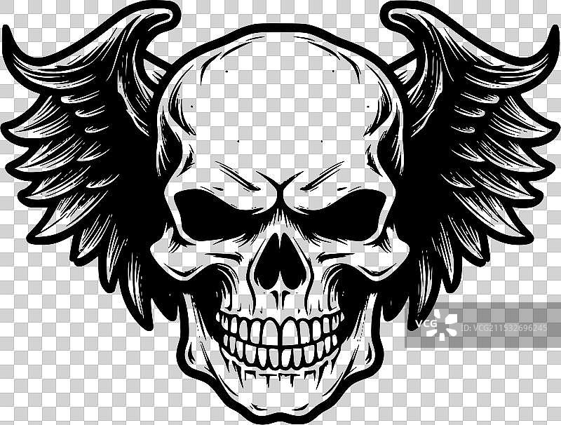 骷髅 - 极简和简单的轮廓图片素材