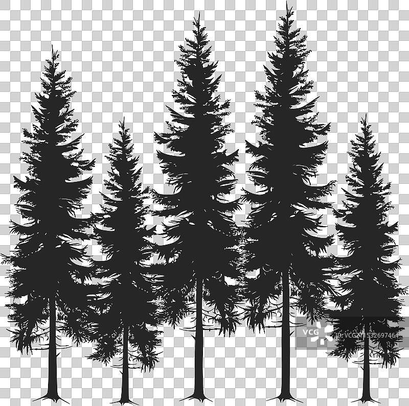 松树剪影图片素材