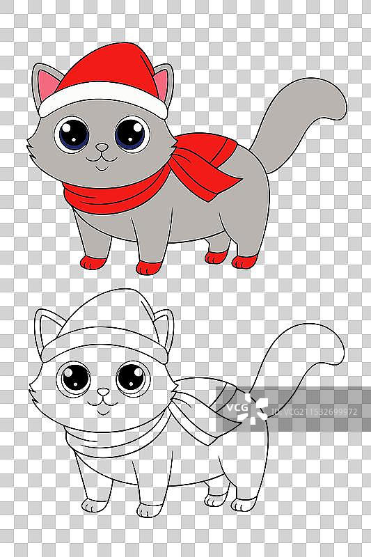 戴着圣诞帽的多彩波斯猫图片素材