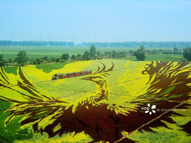 稻梦空间风景区景观系列之稻田画风光·凤凰展翅（辽宁省沈阳市）图片素材