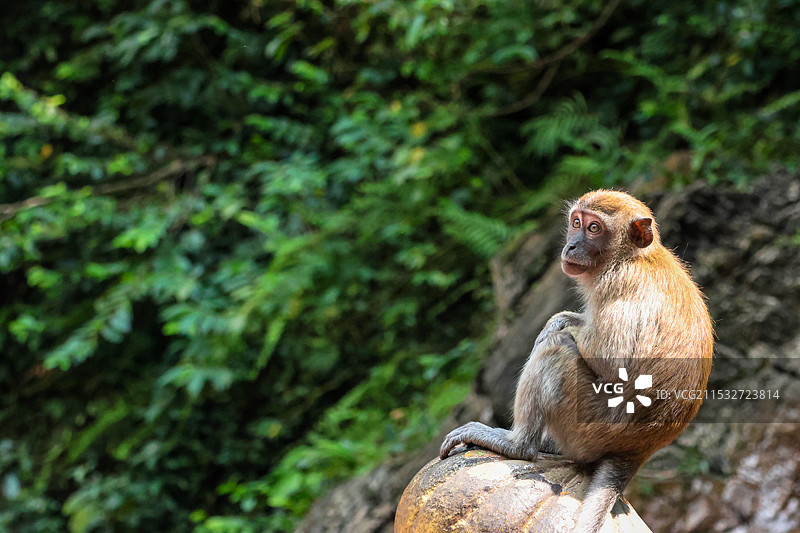 马来西亚图片素材
