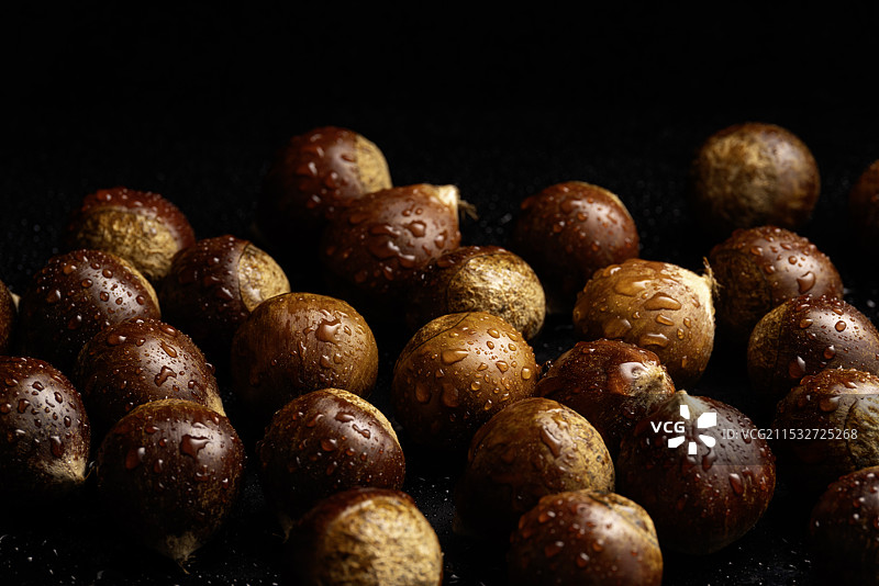 锥栗板栗毛栗子农产品食物原材料美食特写图片素材