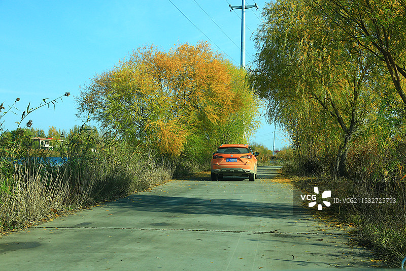 华北明珠白洋淀。四季风光美无限邵庄子图片素材
