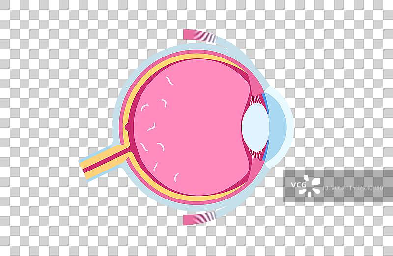 眼睛漂浮物症图片素材