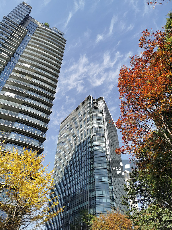 城市高楼的深秋初冬图片素材